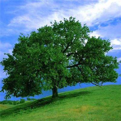 爱游戏下载安装