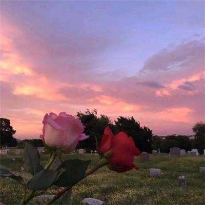 beat365官方app最新版